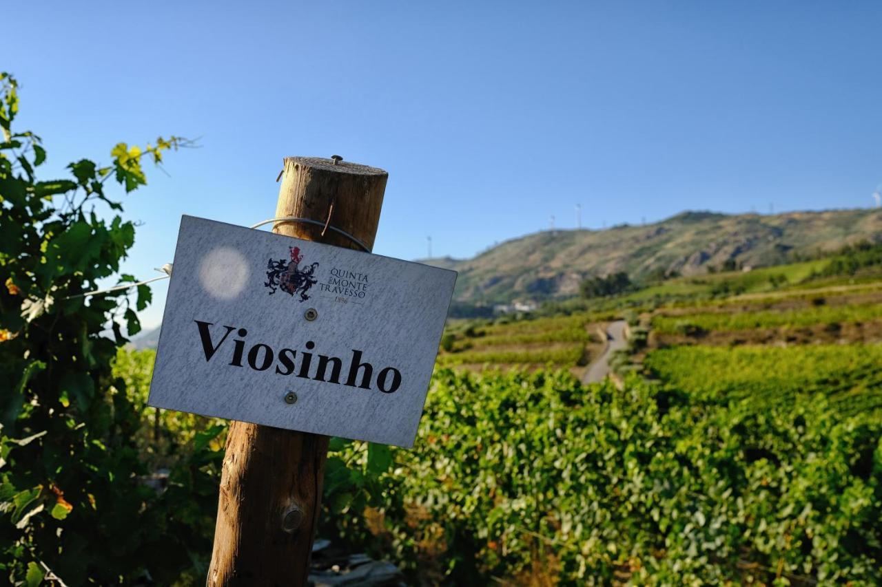 Quinta Do Monte Travesso - Country Houses & Winery Tabuaço Exterior foto