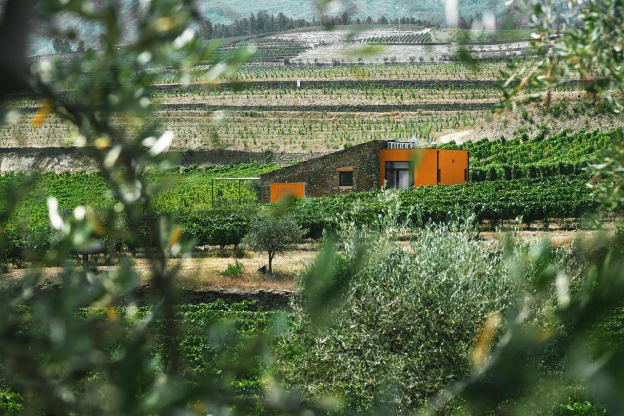 Quinta Do Monte Travesso - Country Houses & Winery Tabuaço Exterior foto